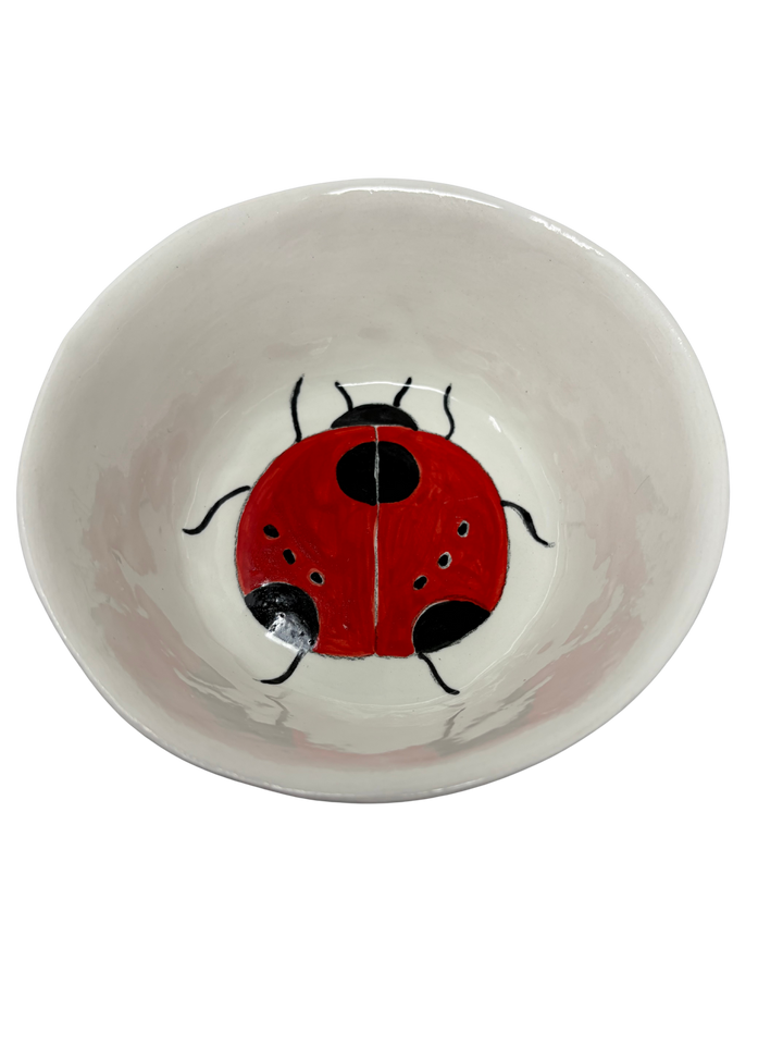 Snack Bowl Ladybug 4