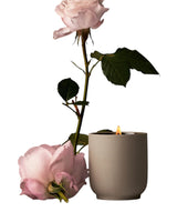 Candle Steeped Rose
