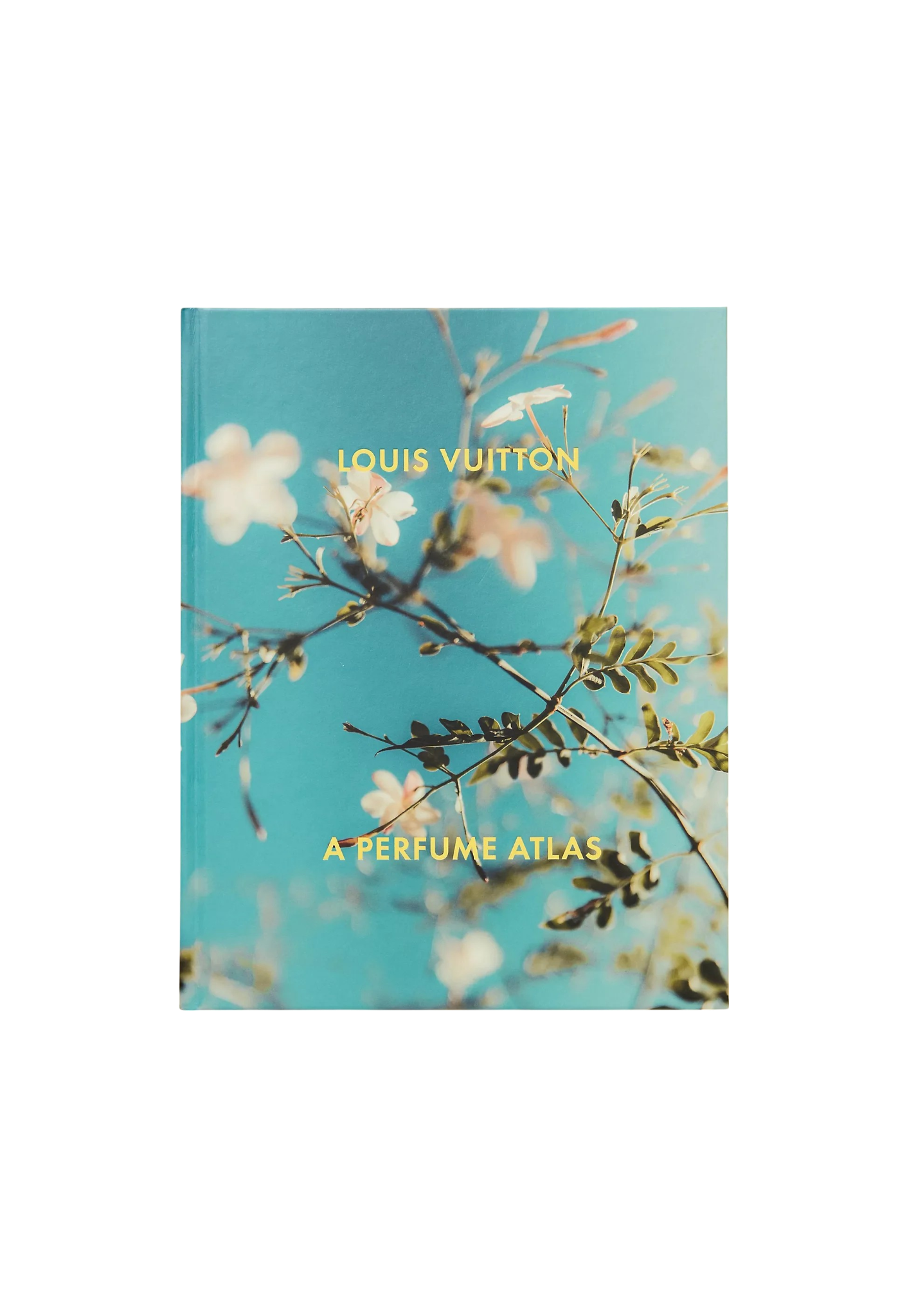 Louis Vuitton Flowers