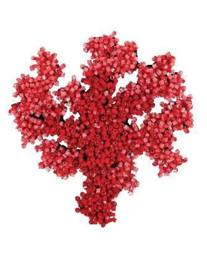 Brooch Coral