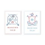 Baby Milestone Cards Joys of Boys