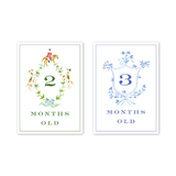 Baby Milestone Cards Joys of Boys