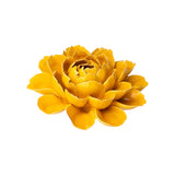 Yellow Cabbage Flower