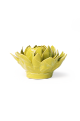 Chartreuse Sugarbush Protea