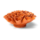 Orange Sea Polyp