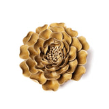 Caramel Charm Peony