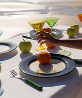 Blue Dinner Plate Set 4