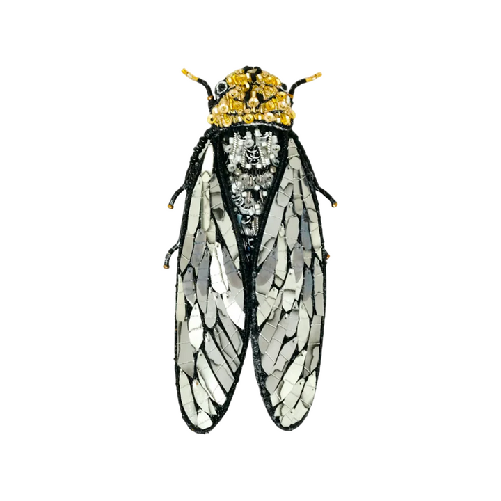 Brooch Cicada