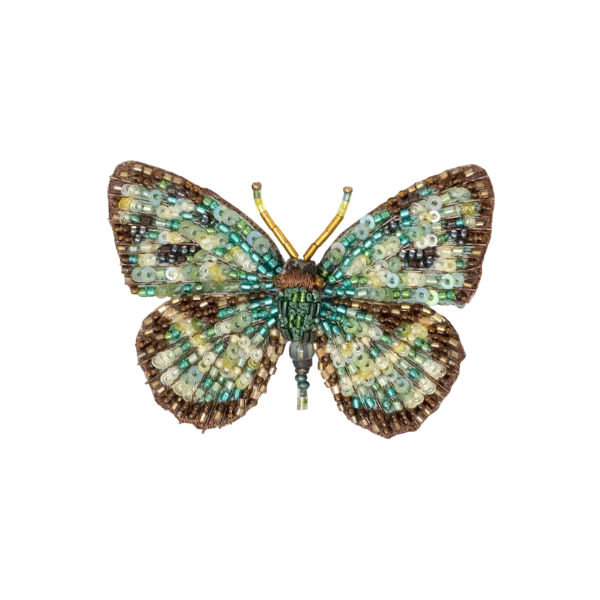 Brooch Four Spot Sailor Butterfly