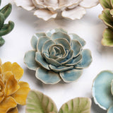 Teal Ranunculus