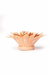 Pink Strawflower
