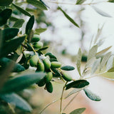 Marseille Soap Olive Black
