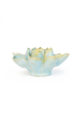 Robin's Egg Blue Aurora Water Lily