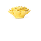 Yellow Paree Peony
