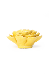 Yellow Paree Peony