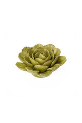 Green Light Green Peony