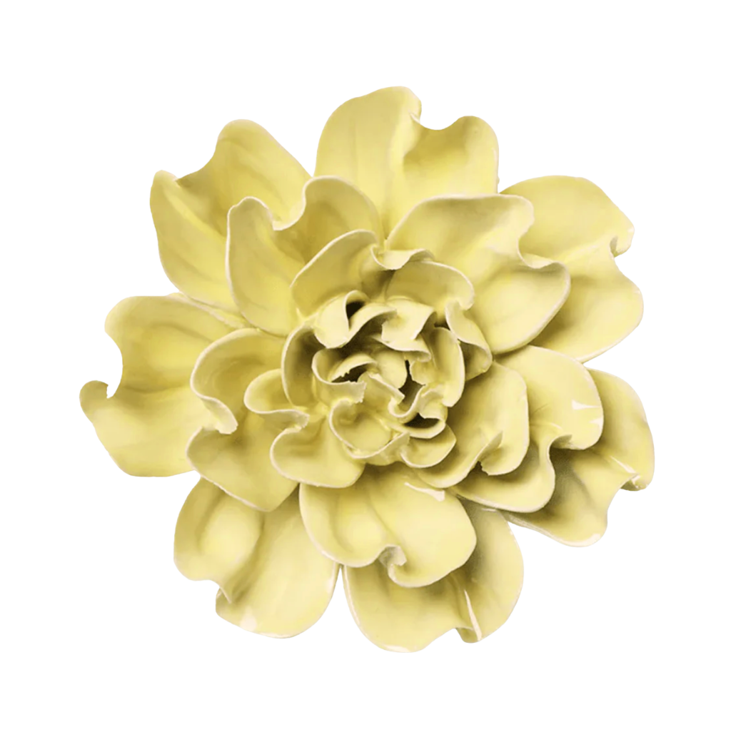 Lime Yellow Larkspur
