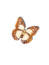 Claw Monarch Butterfly Brown