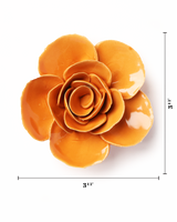 Orange Ranunculus