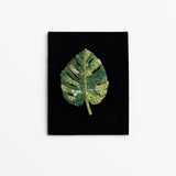 Brooch Monstera