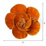 Orange Poppy