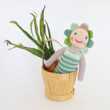 Doll Bluebell