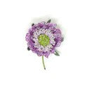Brooch Purple Pin Cushion Flower