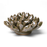 Large Succulent Green