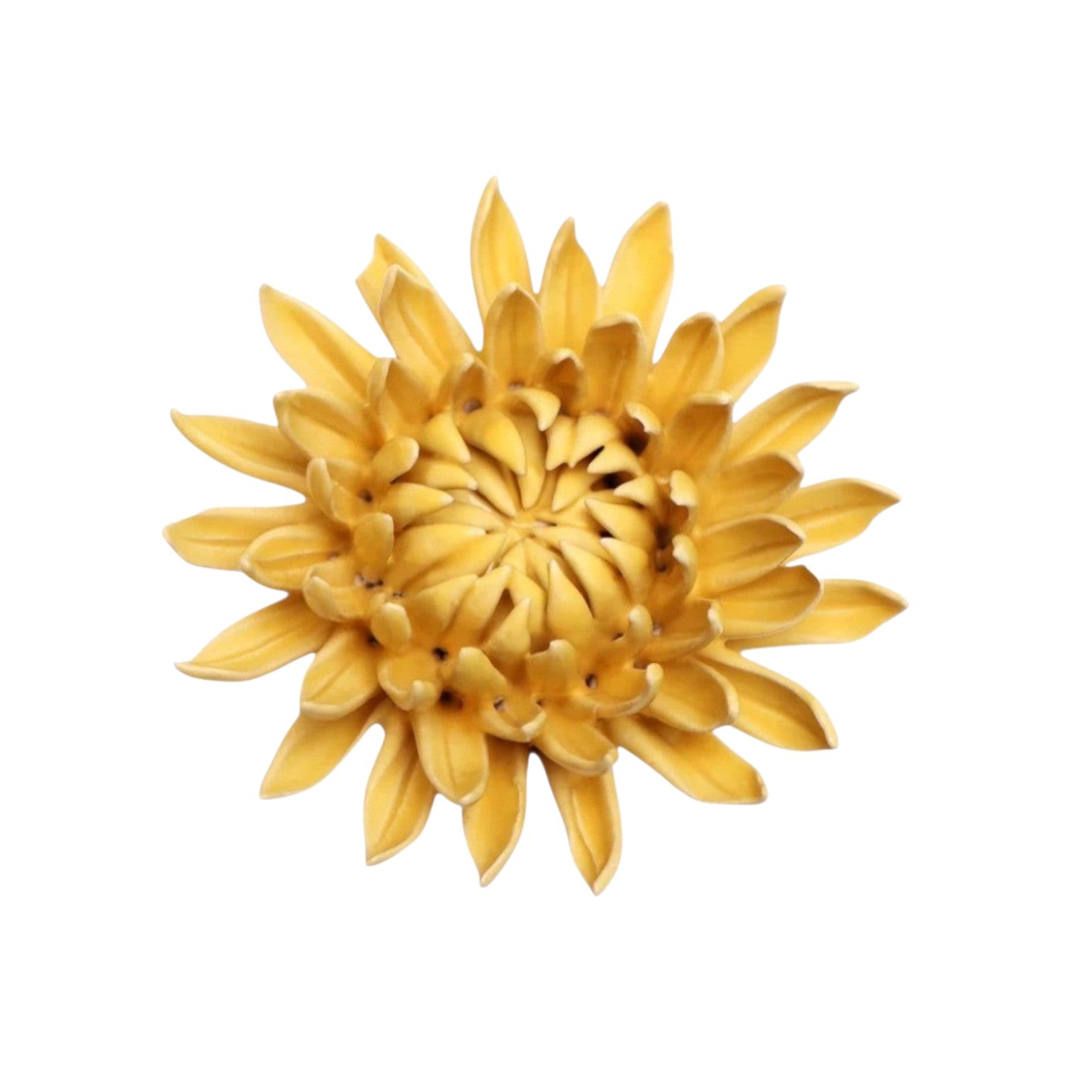 Yellow Mum