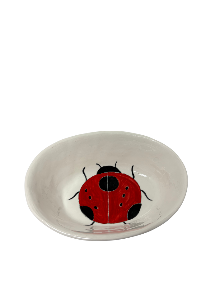 Small Oval Ladybug 2