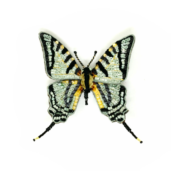 Scare Swallowtail Brooch