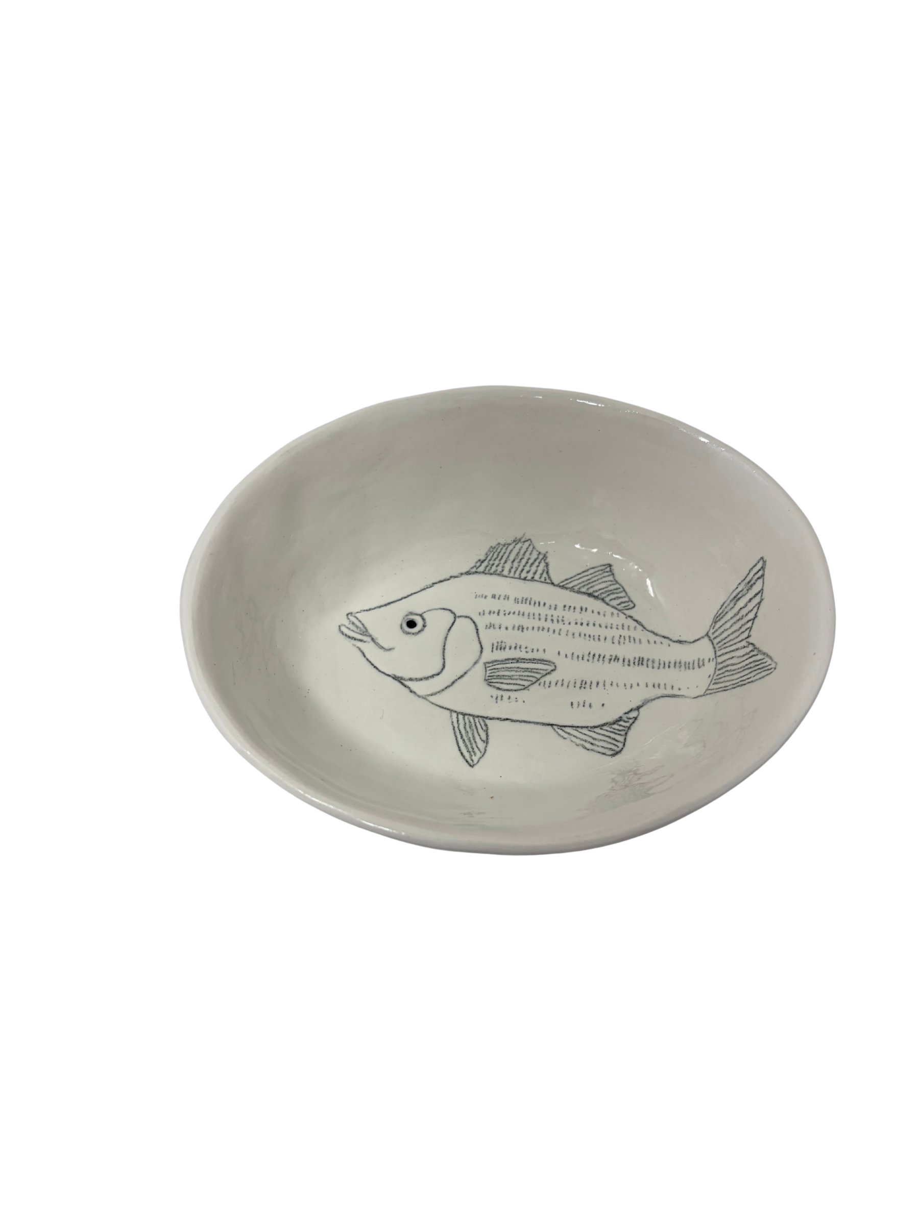 Small Oval Fish 10