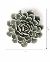 Pewter Blue Zinderella Zinnia