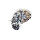 Brooch Tusker