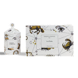 The Stars Candle 350g