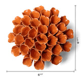 Orange Sea Polyp