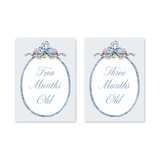 Baby Milestone Cards Joie