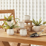 Dezie Mini Pots