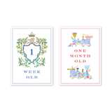 Baby Milestone Cards Joys of Boys