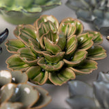 Green Petunia