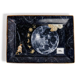 Catchall Moon