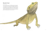Colorful World of Reptiles