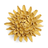 Yellow Chrysanthemum