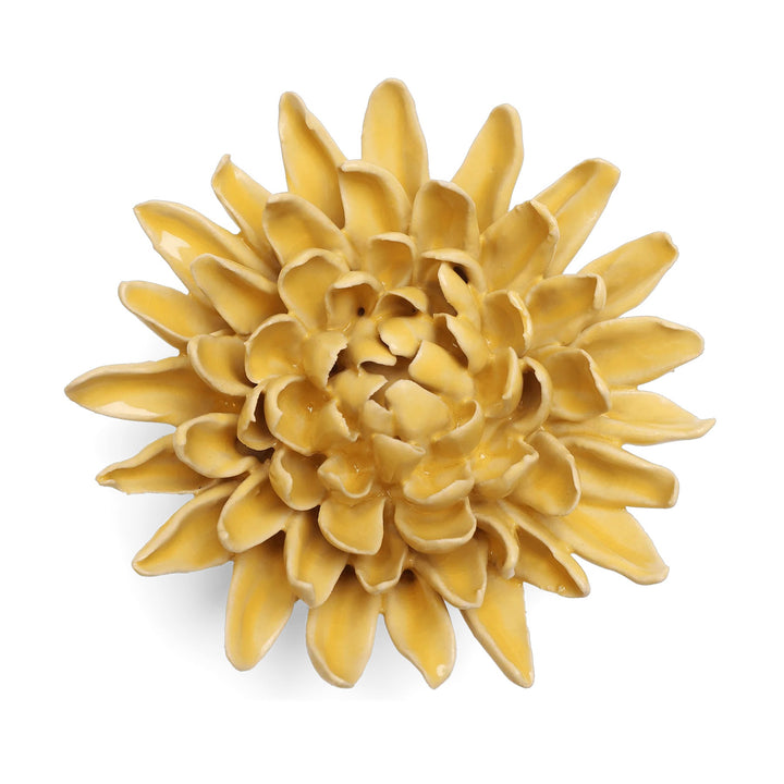 Yellow Chrysanthemum