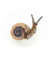 Brooch Snail