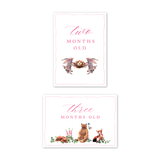 Baby Milestone Cards Woodland Pink