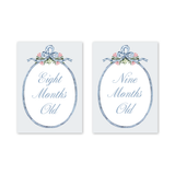 Baby Milestone Cards Joie