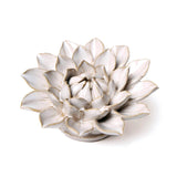 Ivory Dahlia