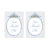 Baby Milestone Cards Joie