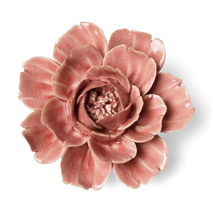 Pink Rose